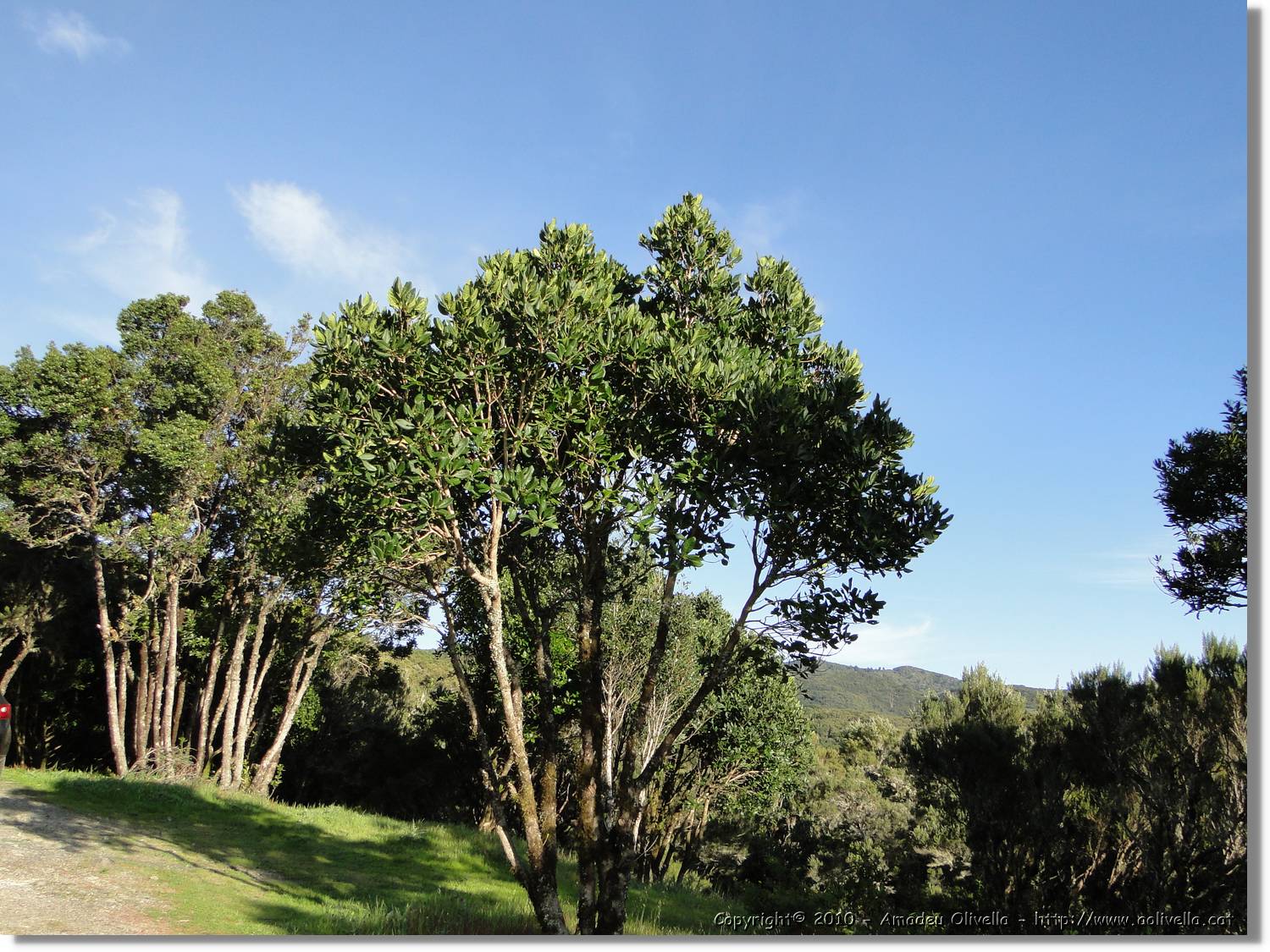 Gomera_287.jpg