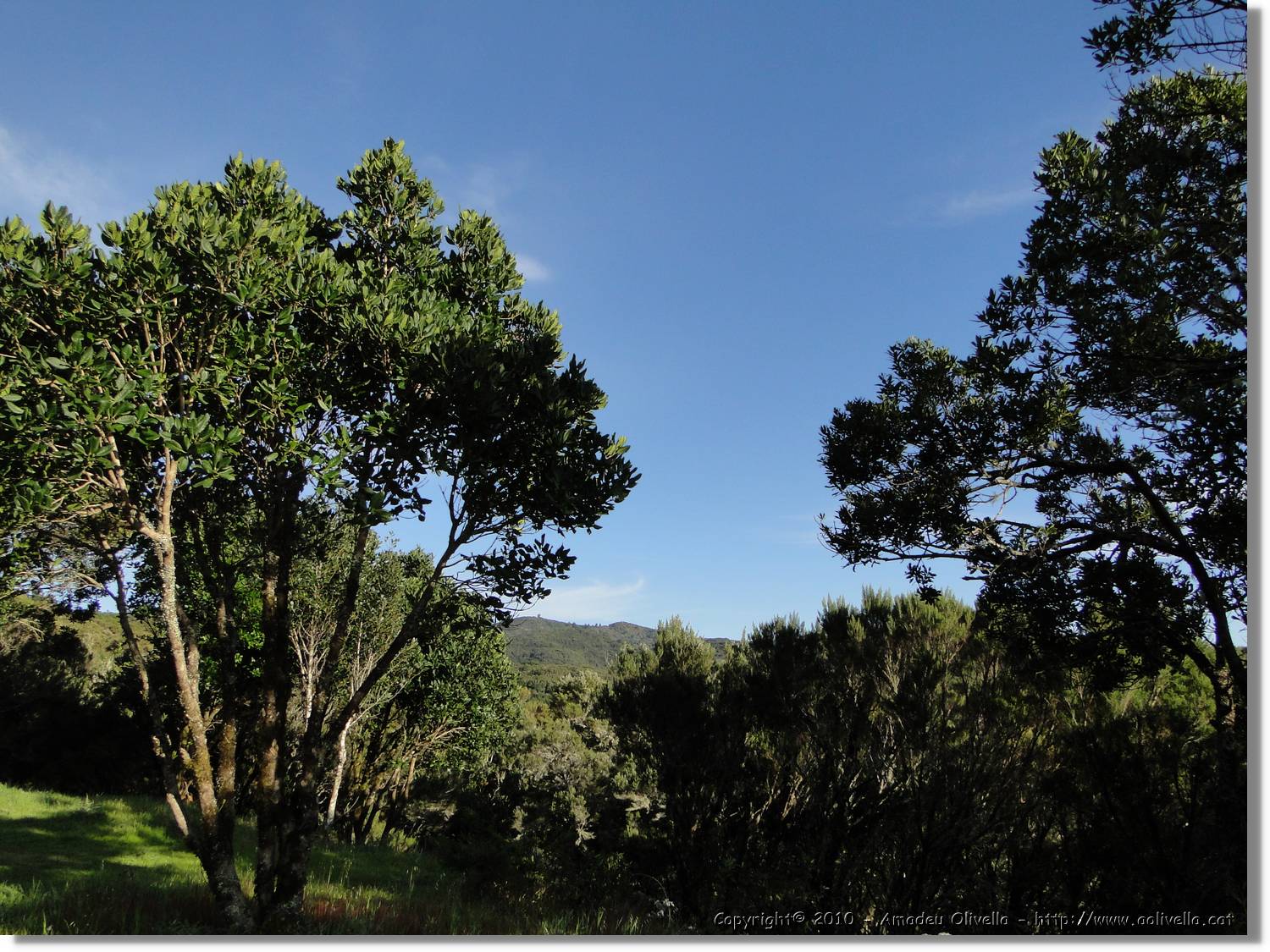 Gomera_288.jpg