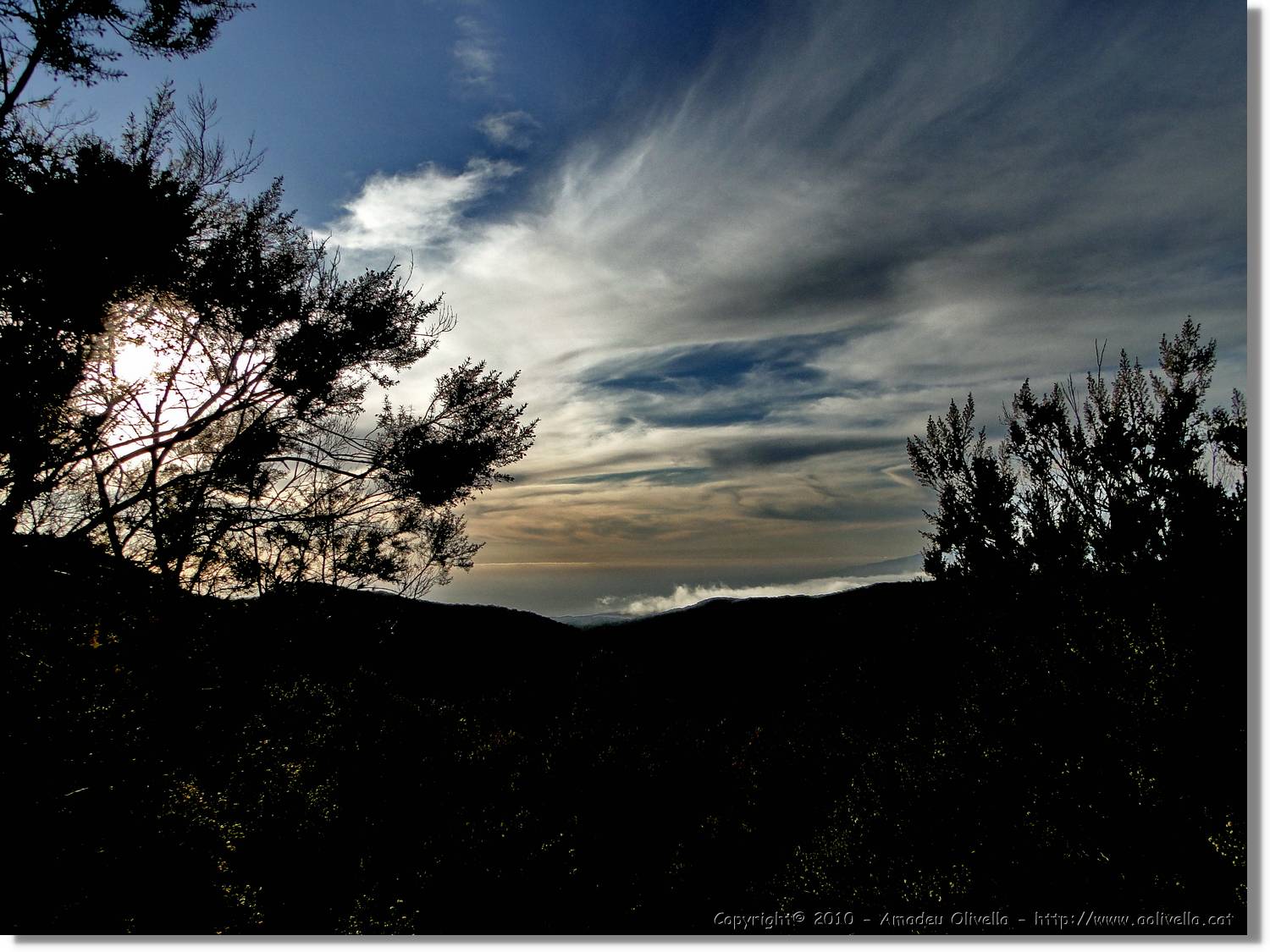 Gomera_306.jpg
