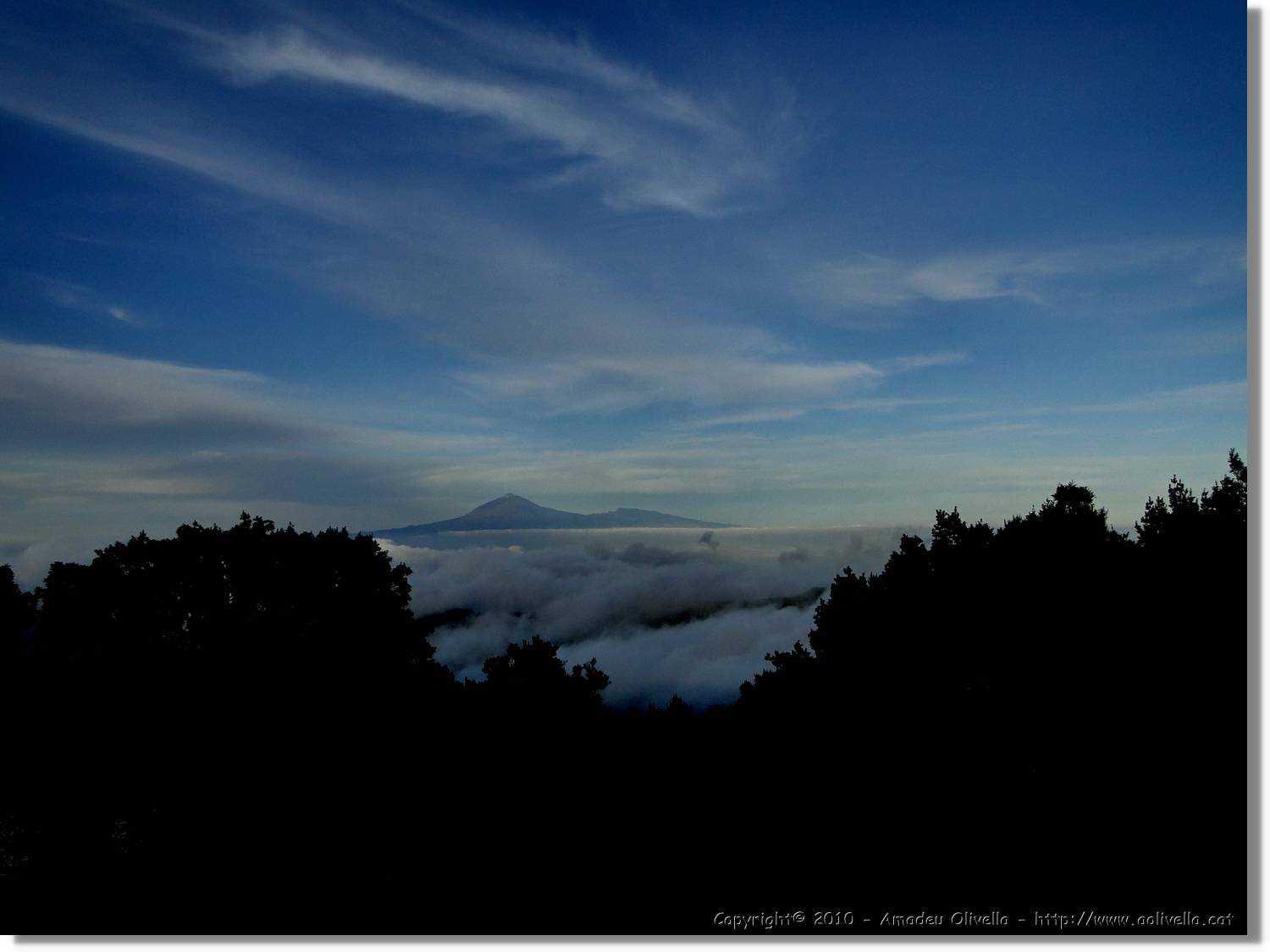 Gomera_310.jpg