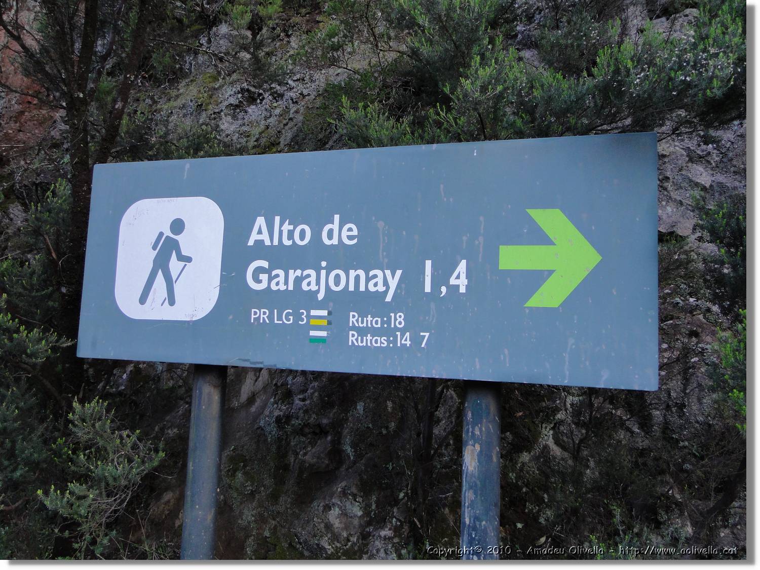 Gomera_311.jpg