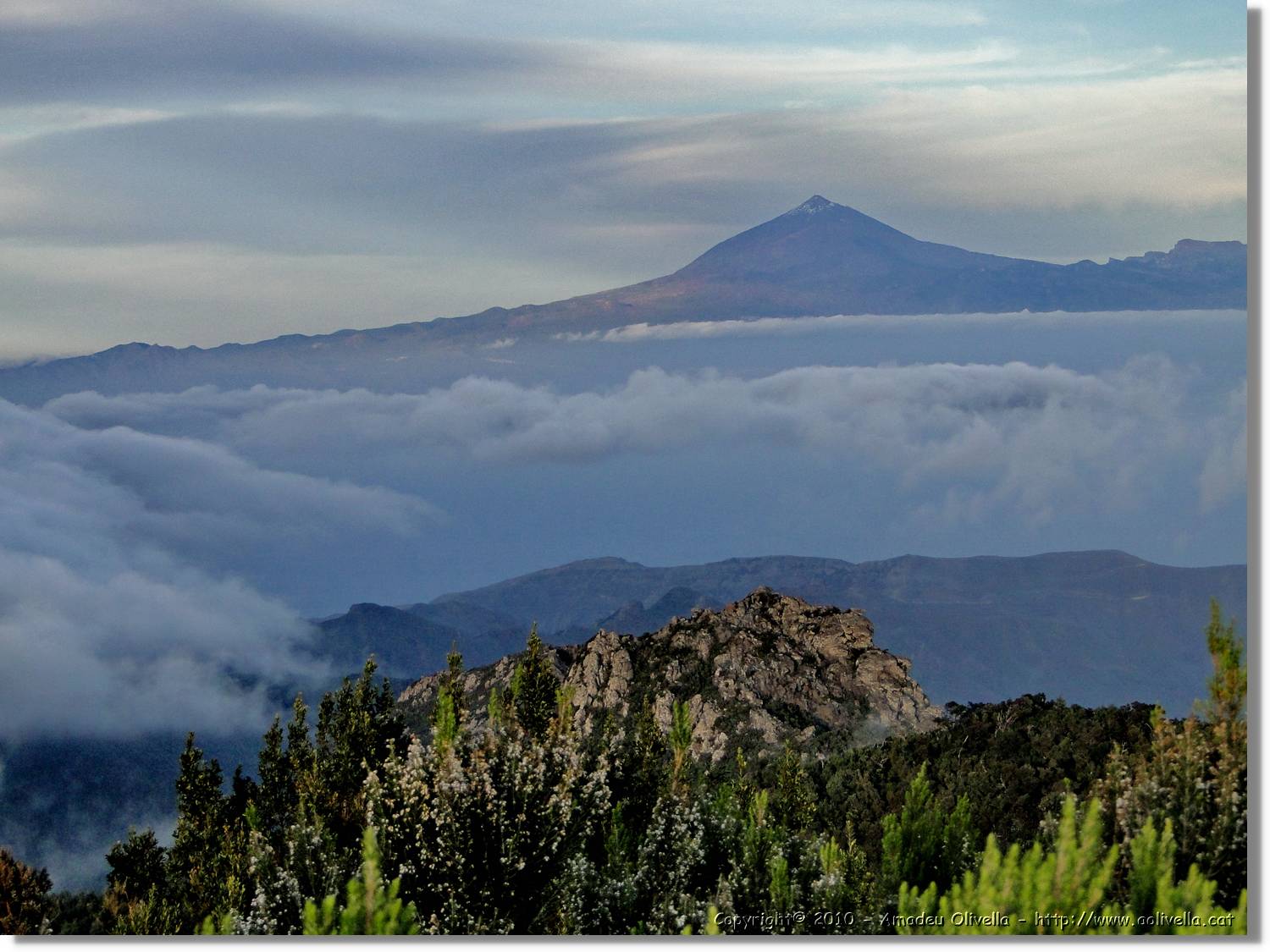 Gomera_318.jpg