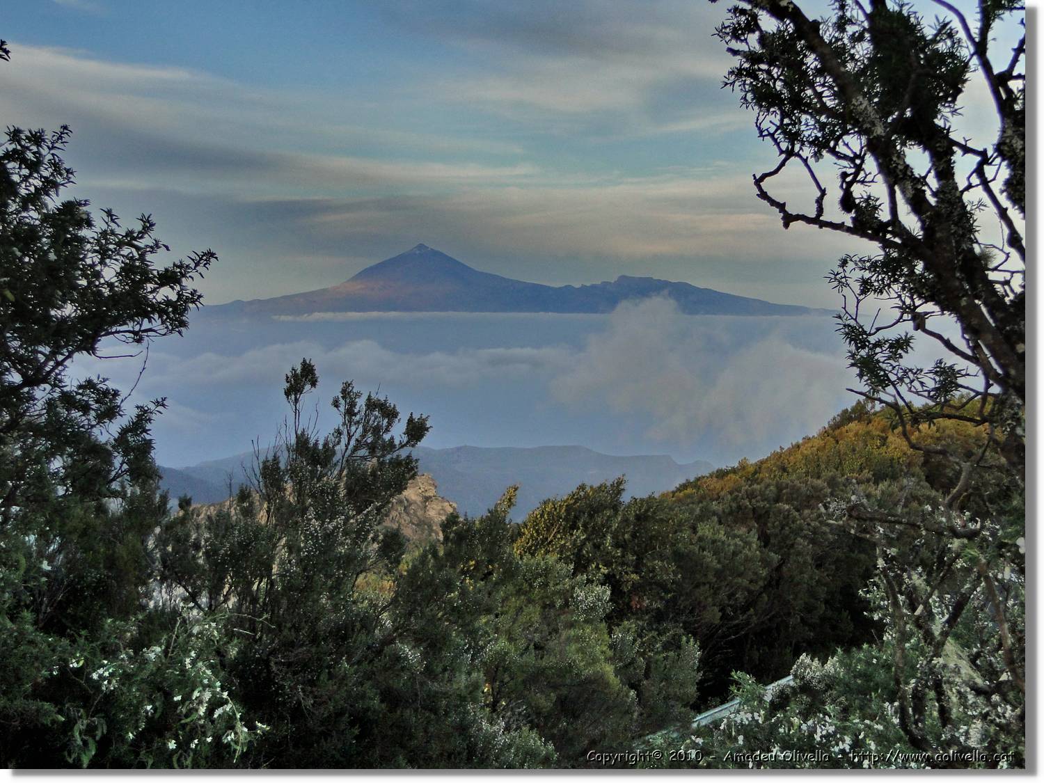 Gomera_321.jpg