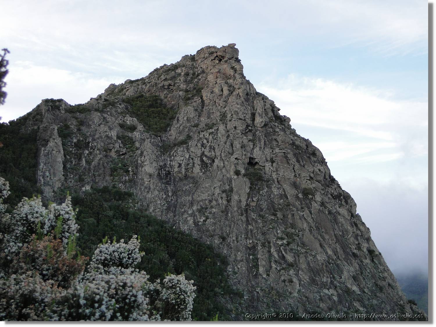 Gomera_326.jpg