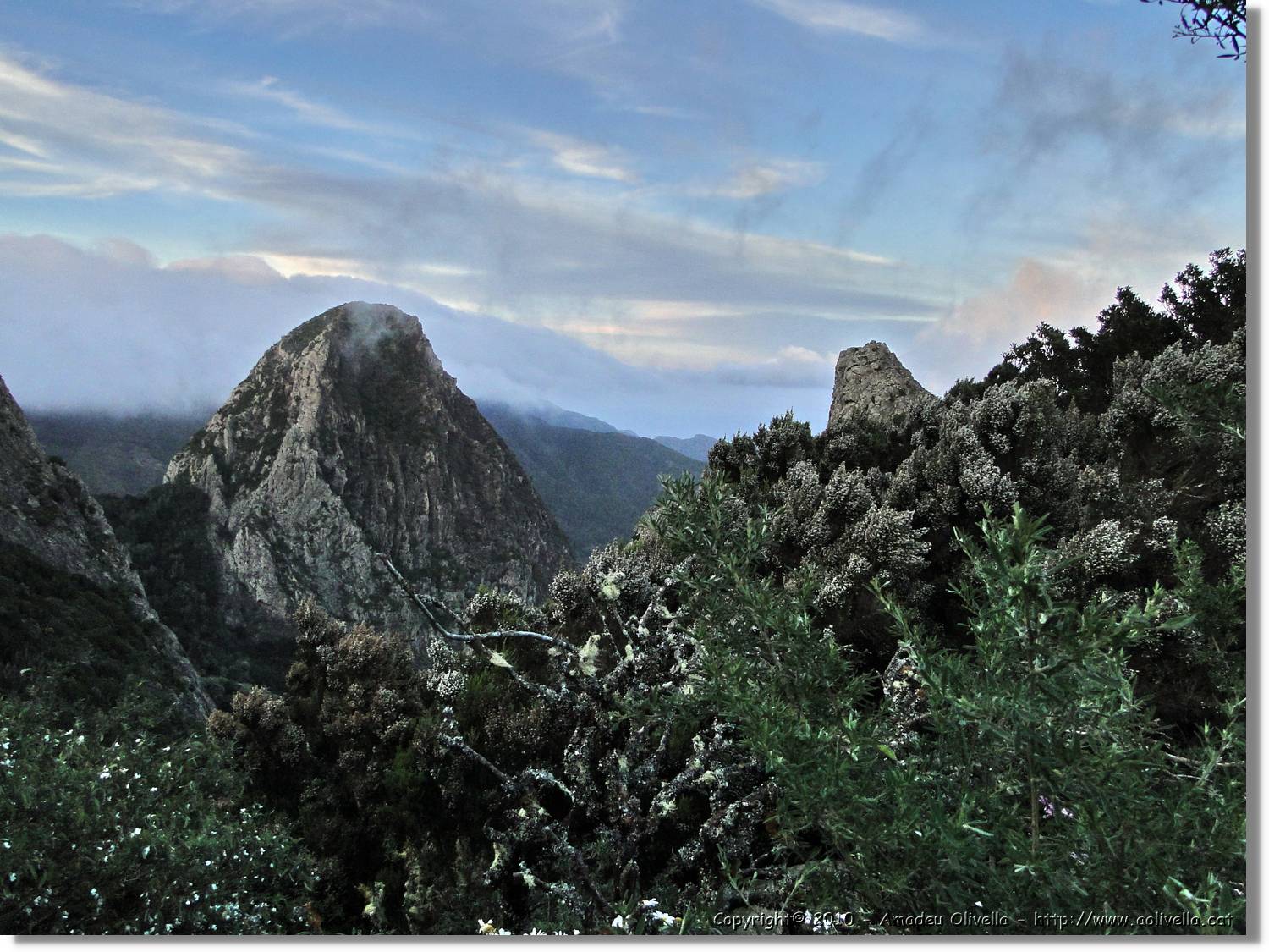 Gomera_329.jpg