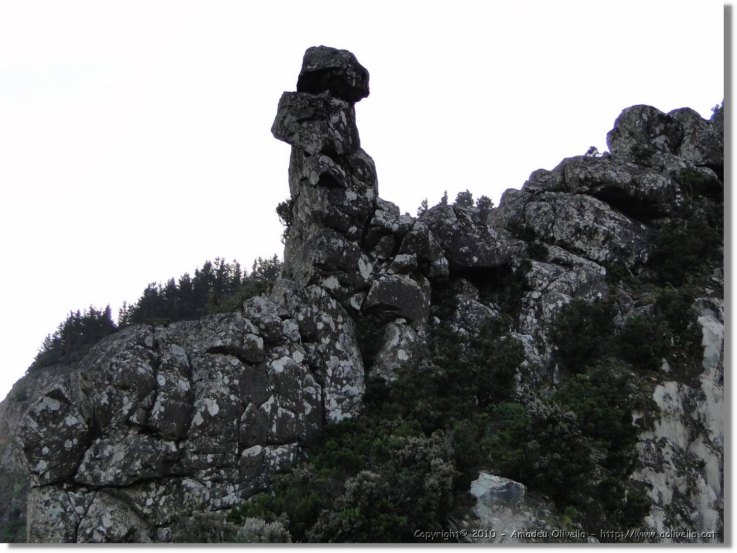 Gomera_330.jpg