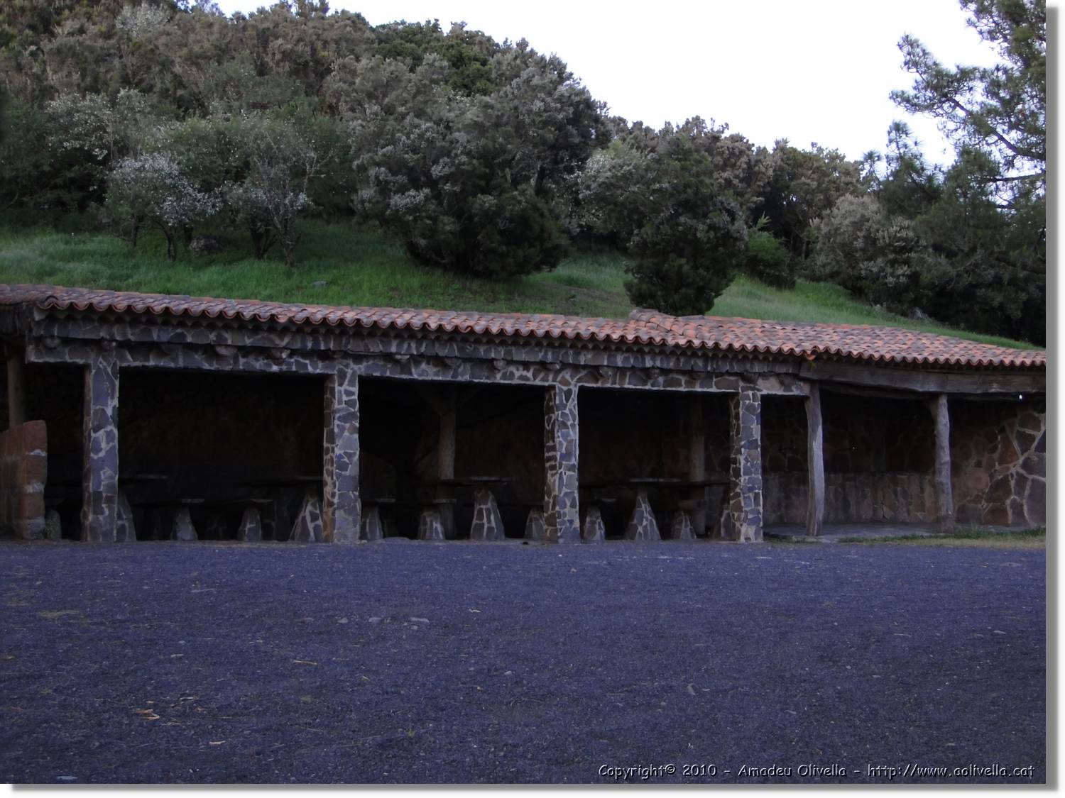 Gomera_341.jpg