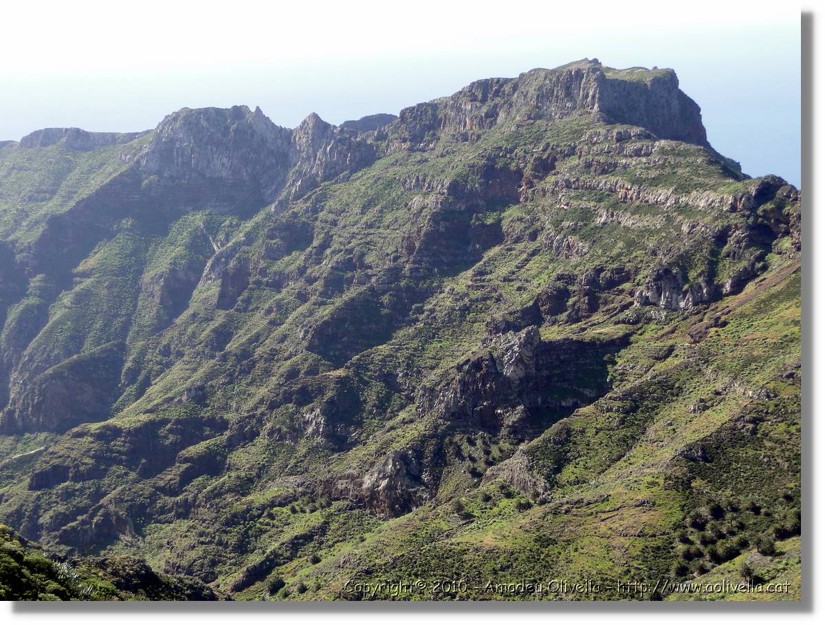 Gomera_382.jpg