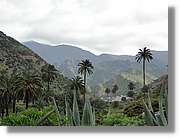 Gomera_221.jpg