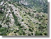 Gomera_226.jpg