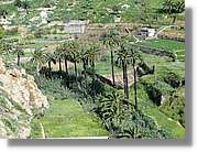 Gomera_232.jpg
