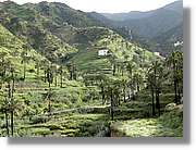 Gomera_234.jpg