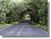 Gomera_252.jpg