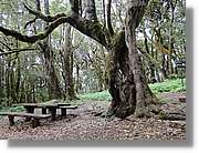 Gomera_255.jpg