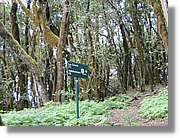 Gomera_256.jpg