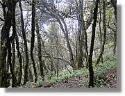 Gomera_259.jpg