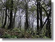 Gomera_265.jpg
