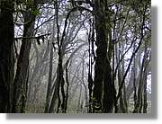 Gomera_266.jpg