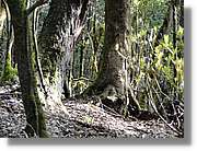 Gomera_274.jpg