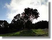 Gomera_278.jpg