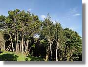 Gomera_285.jpg