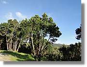 Gomera_287.jpg