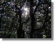 Gomera_297.jpg