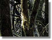 Gomera_299.jpg