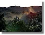 Gomera_314.jpg