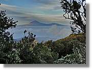 Gomera_321.jpg