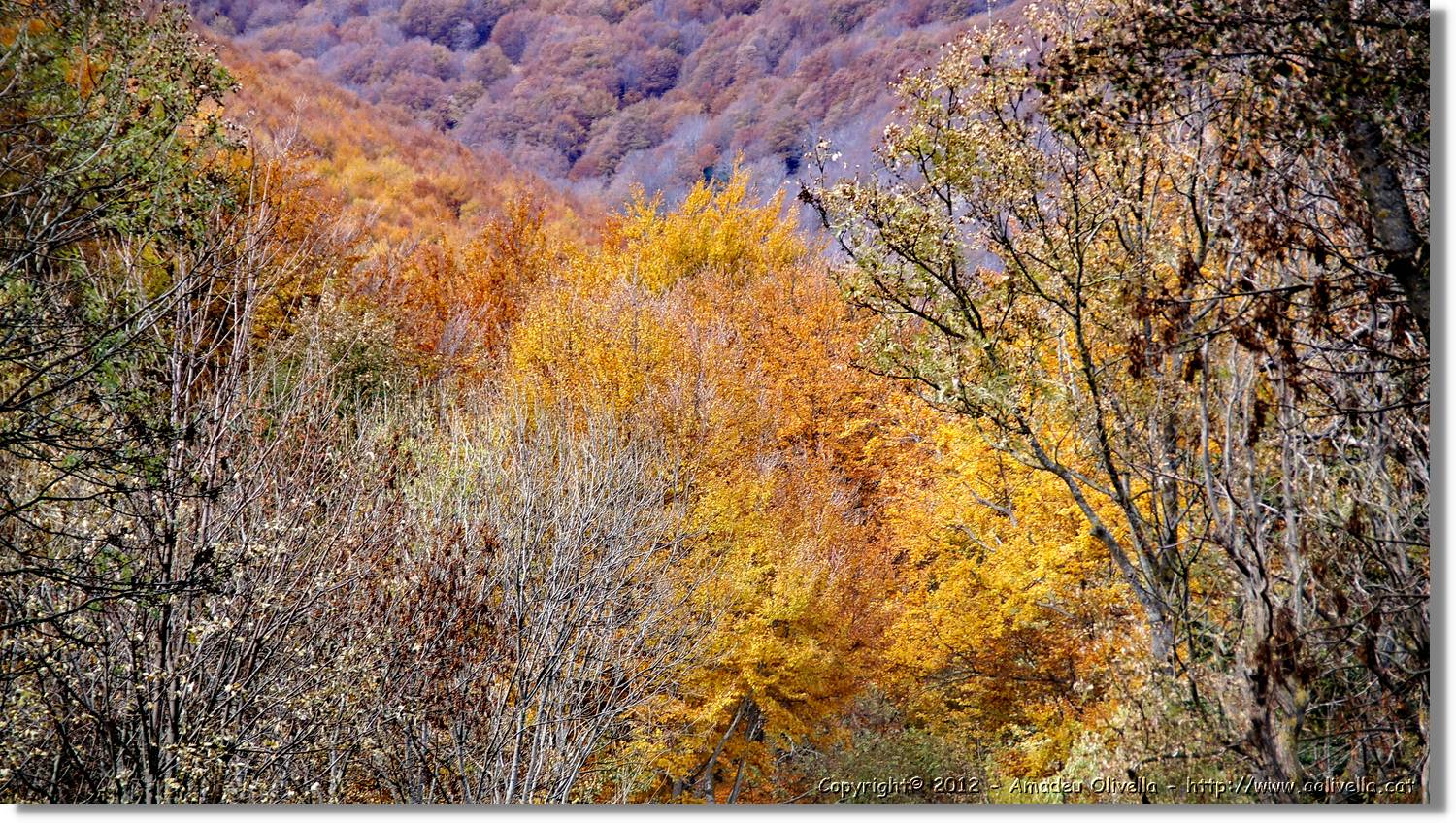 Montseny_088.jpg