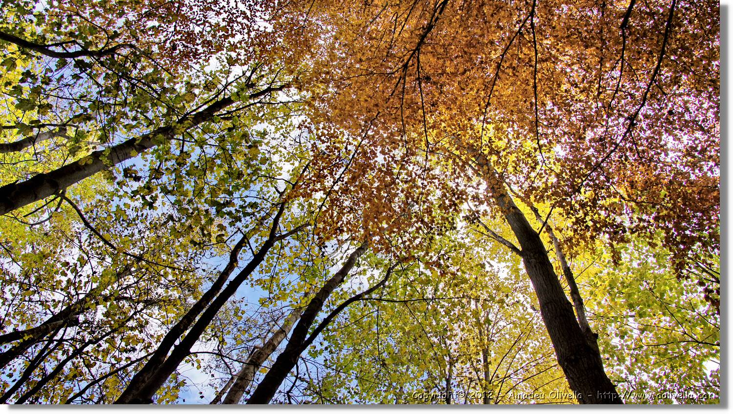 Montseny_097.jpg