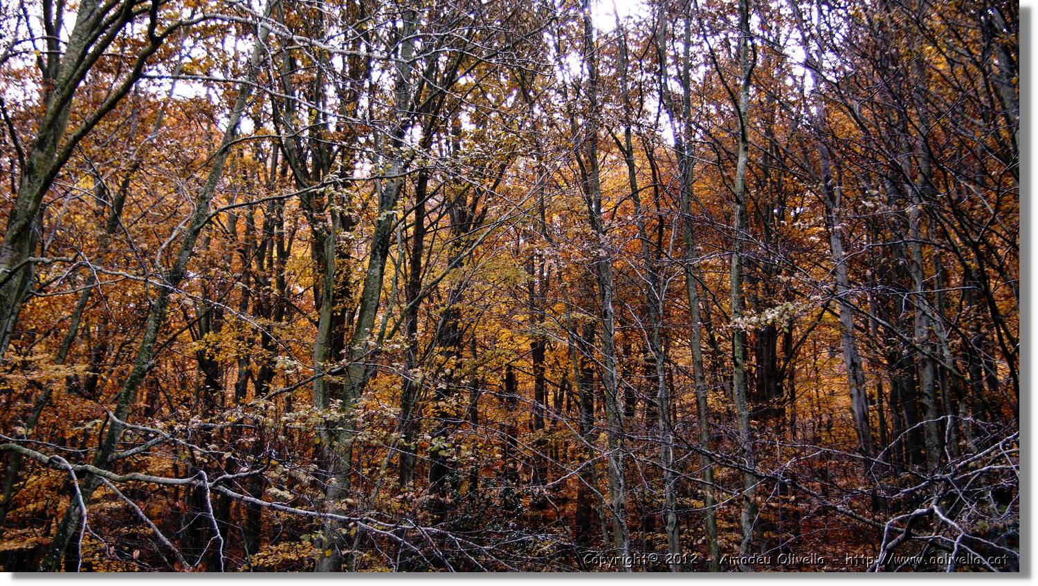 Montseny_101.jpg