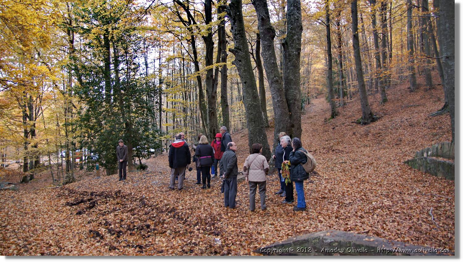 Montseny_104.jpg