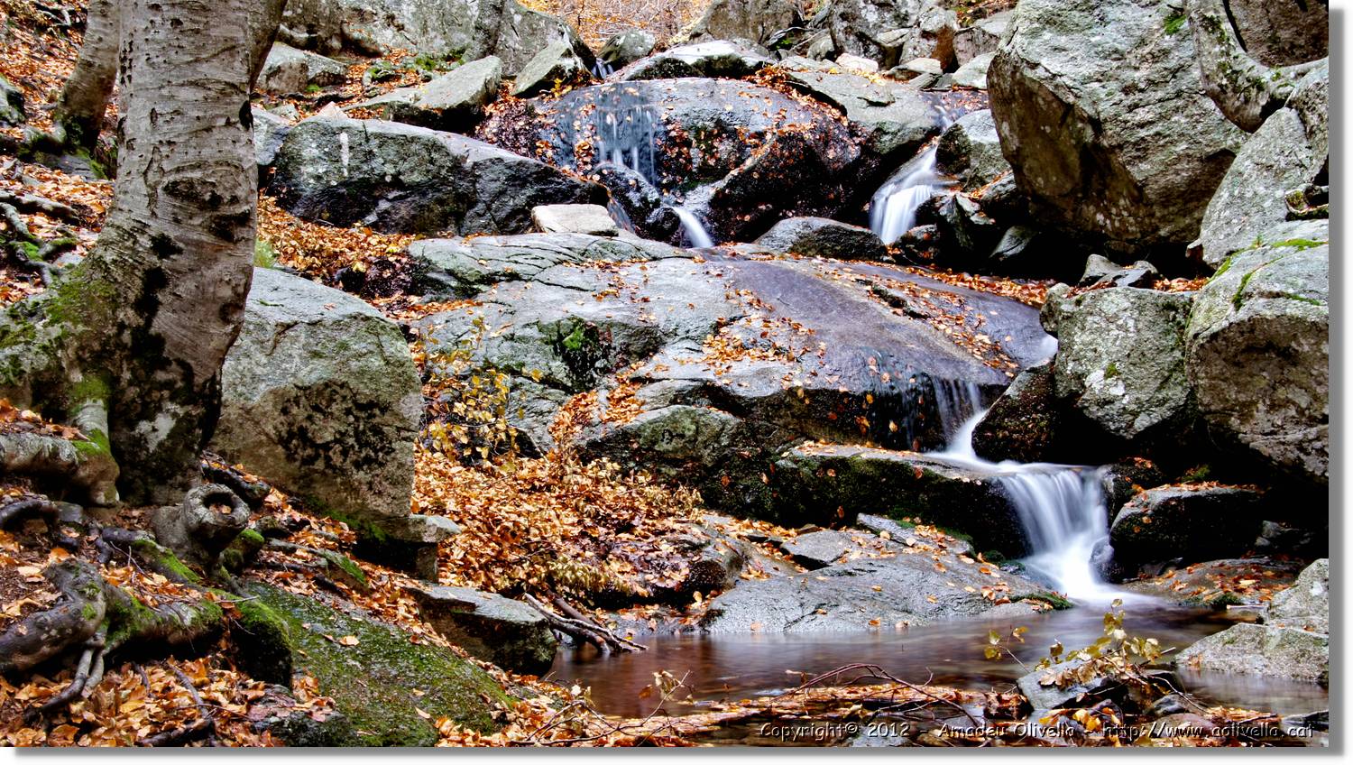 Montseny_107.jpg
