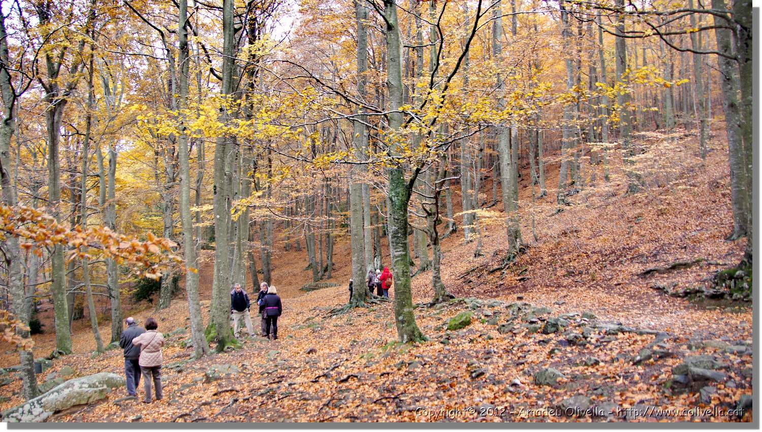 Montseny_113.jpg