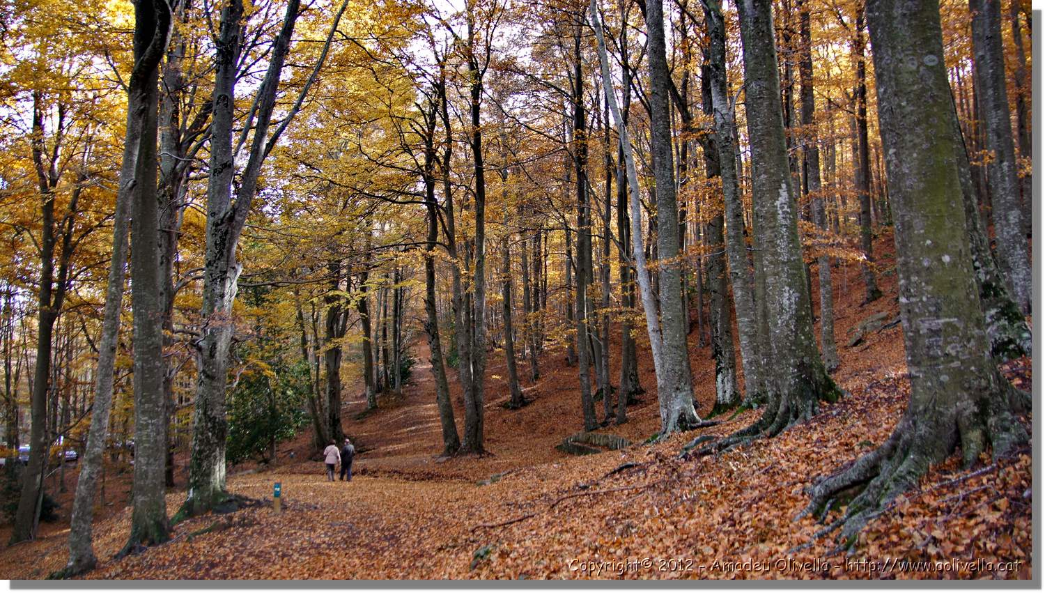 Montseny_120.jpg