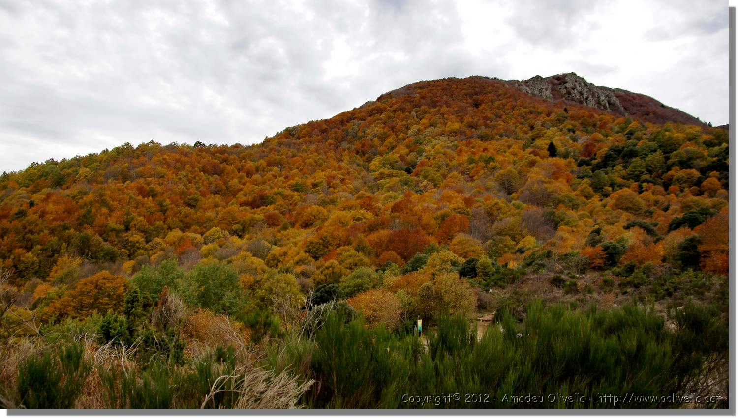 Montseny_151.jpg