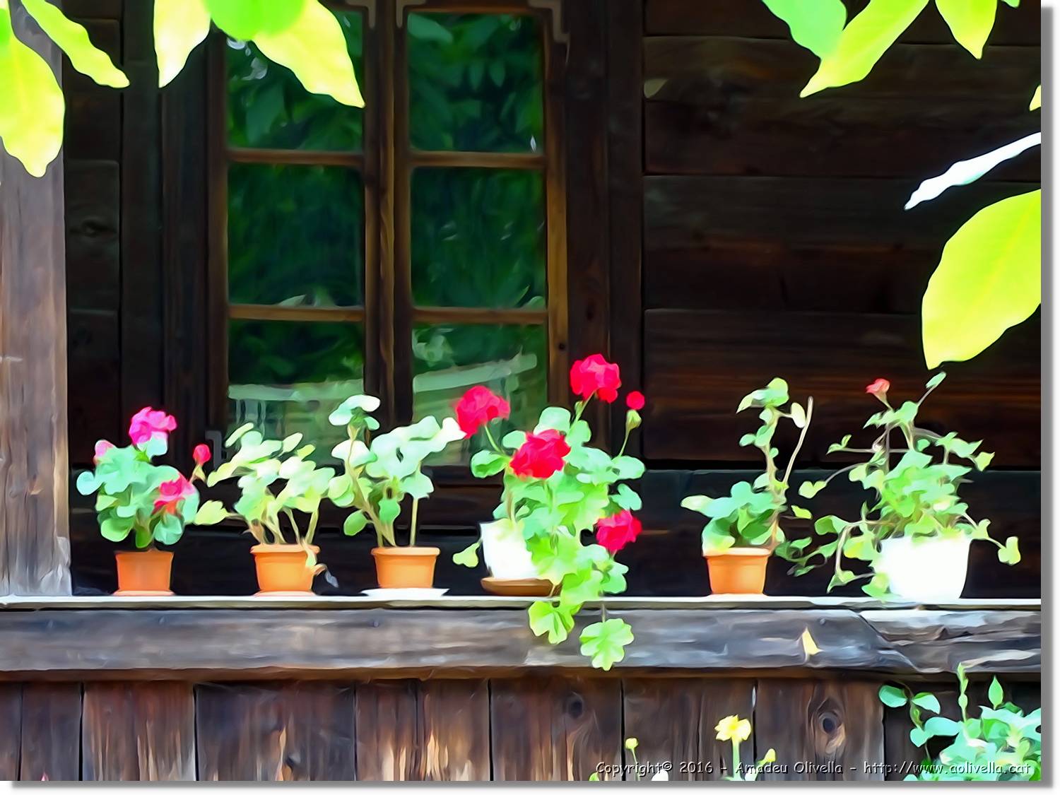 Flors_006.jpg