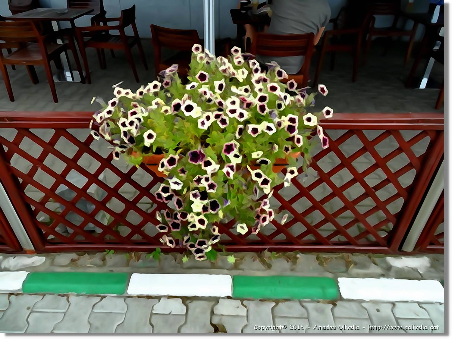 Flors_008.jpg