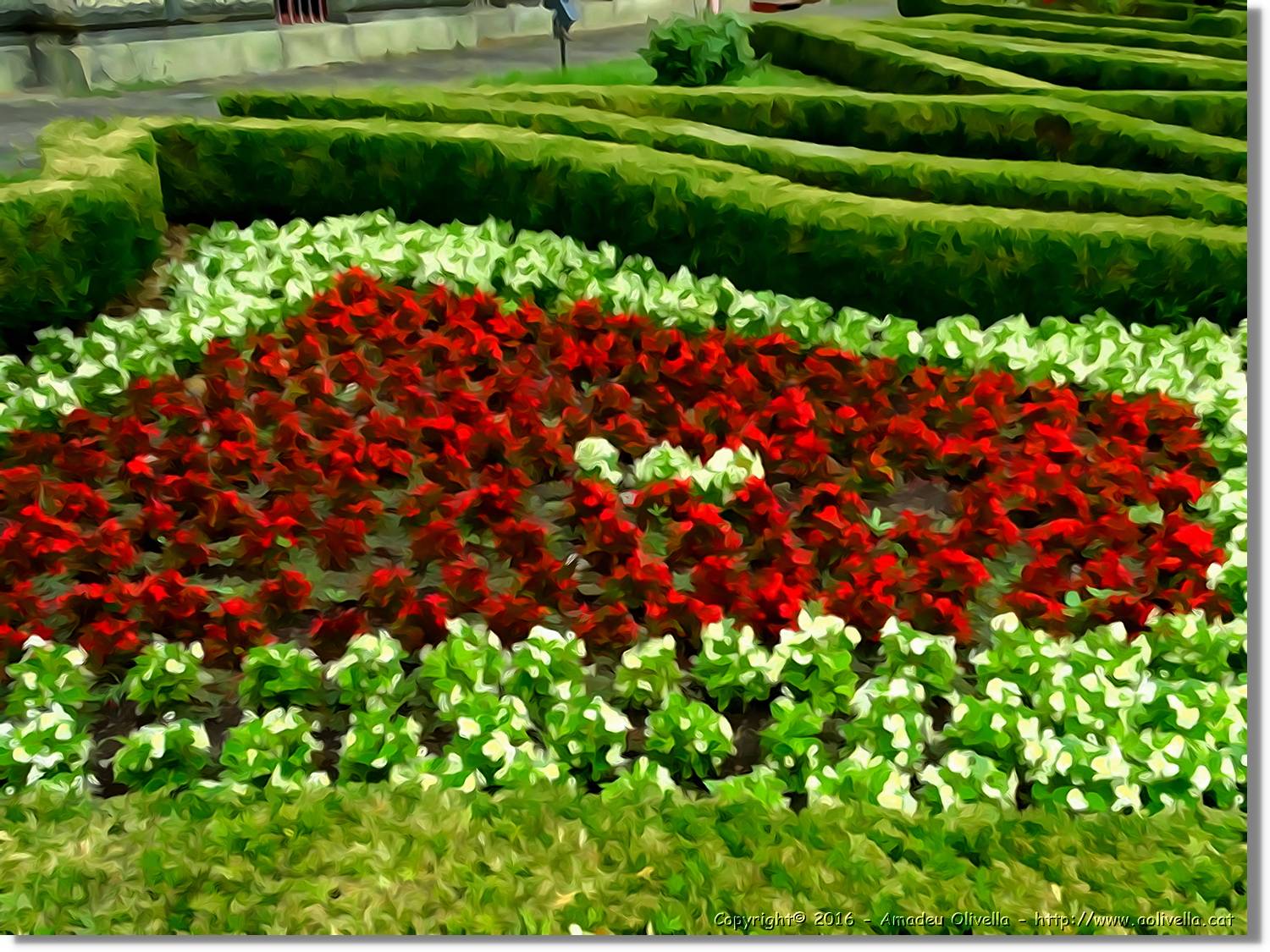 Flors_015.jpg
