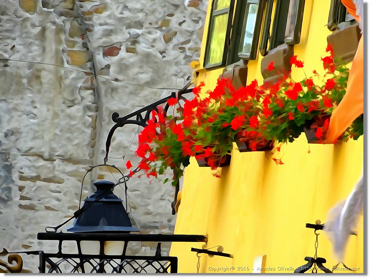 Flors_016.jpg