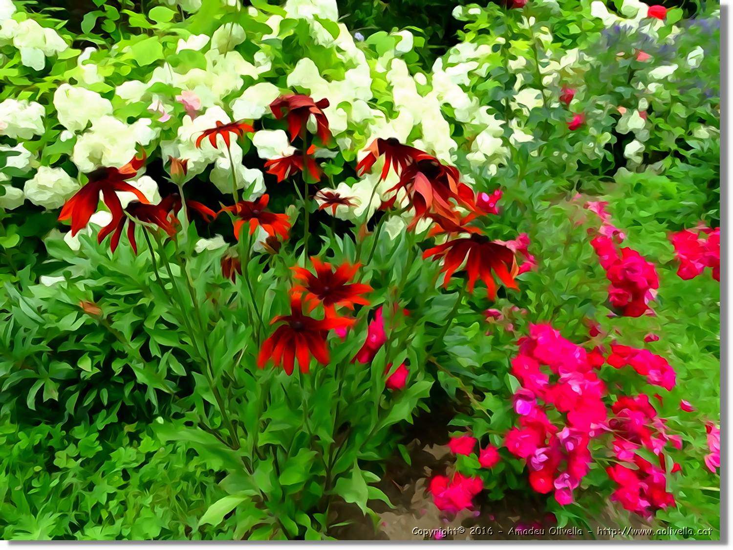 Flors_020.jpg