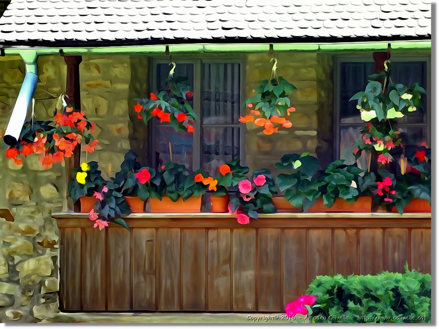 Flors_023.jpg