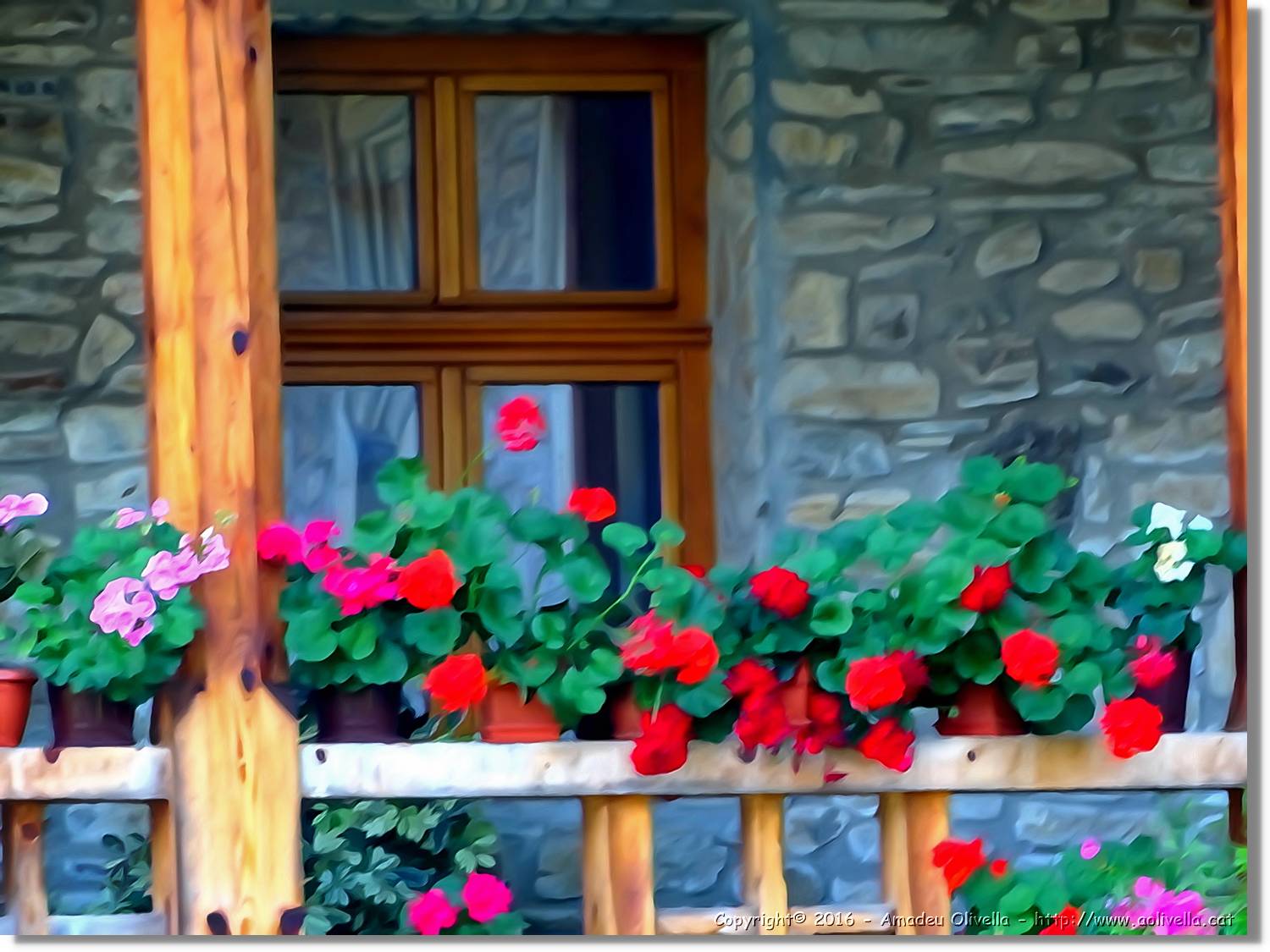Flors_024.jpg