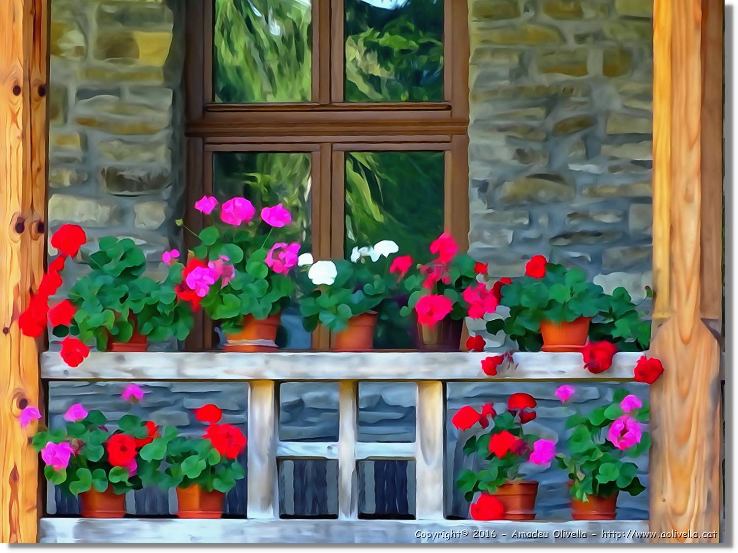 Flors_025.jpg