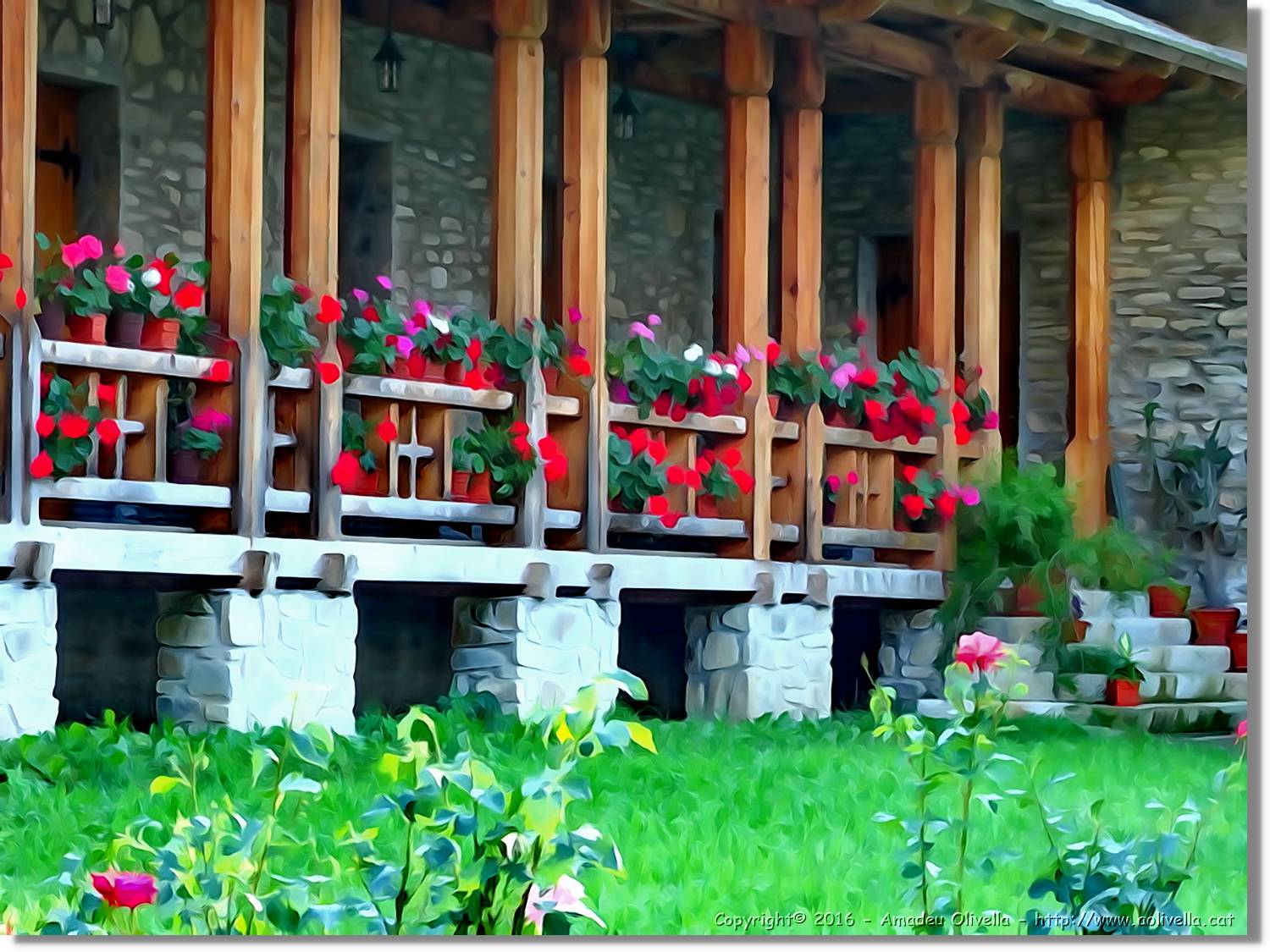 Flors_026.jpg