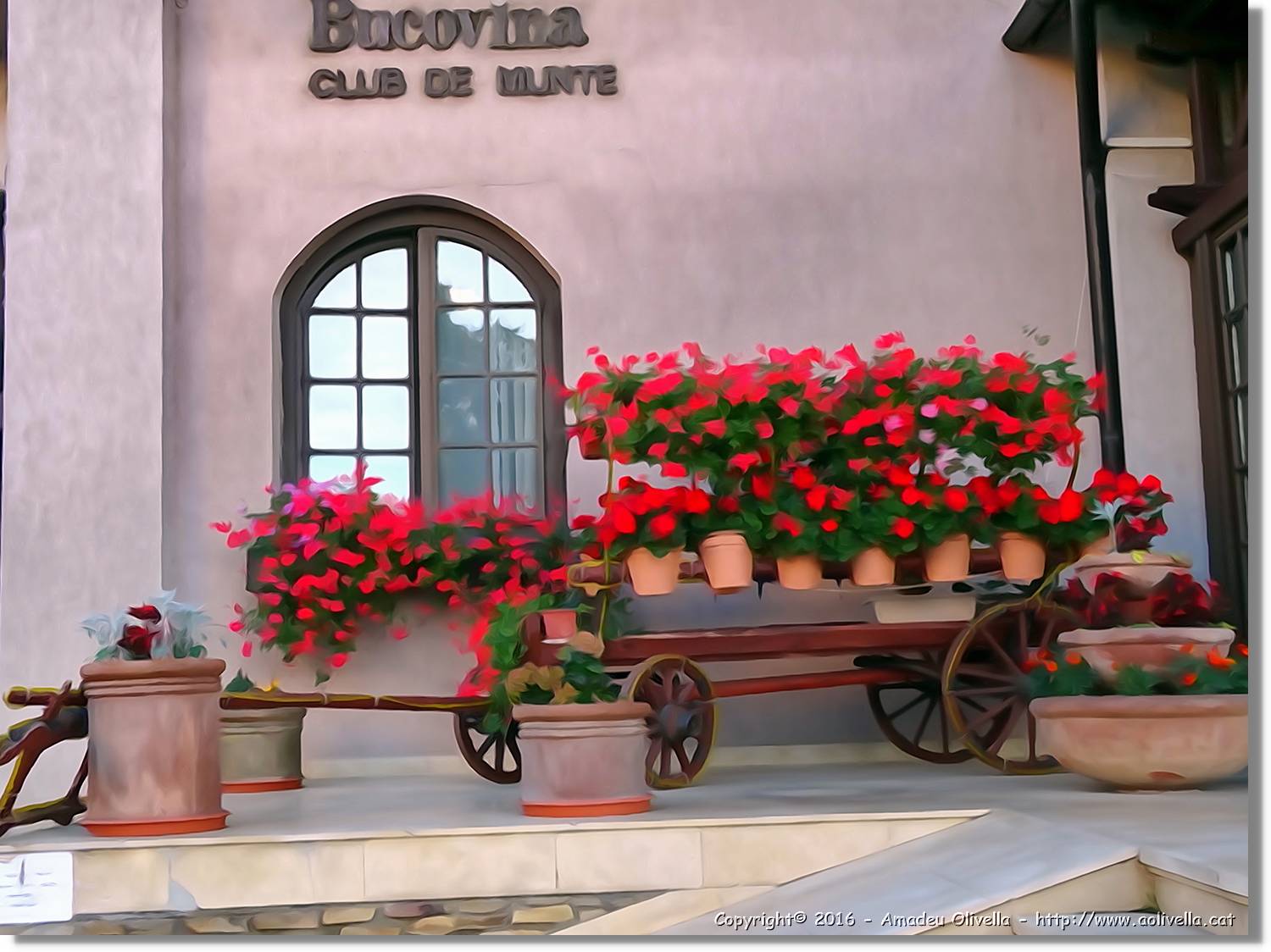 Flors_027.jpg