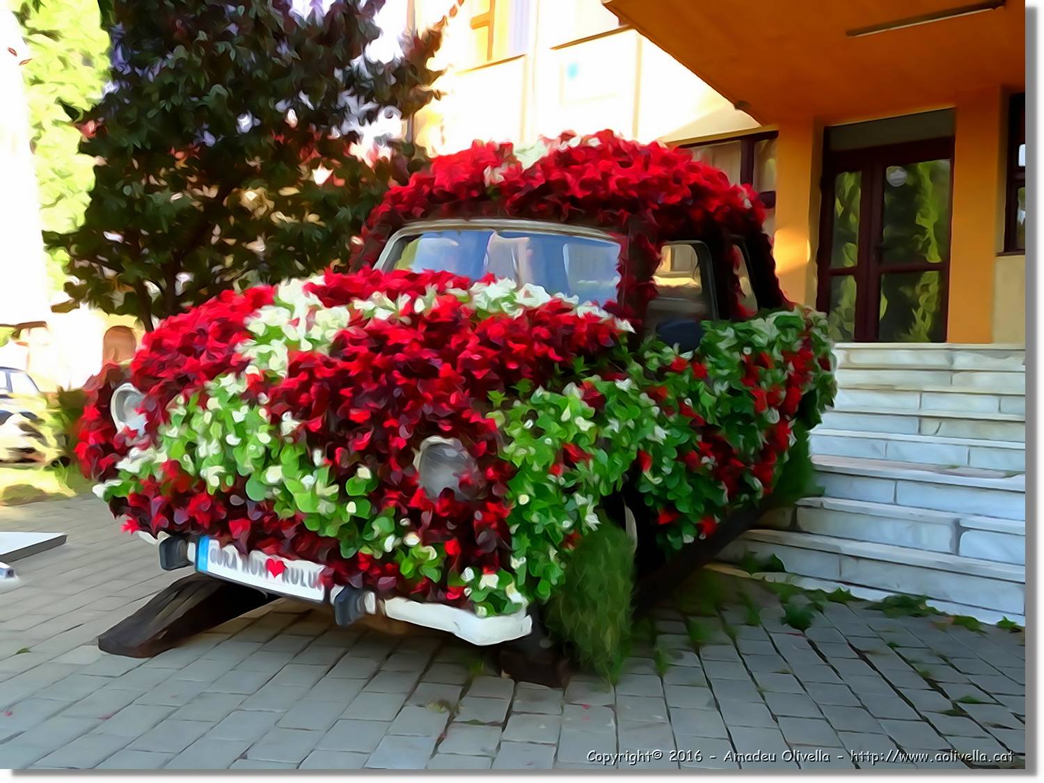 Flors_028.jpg