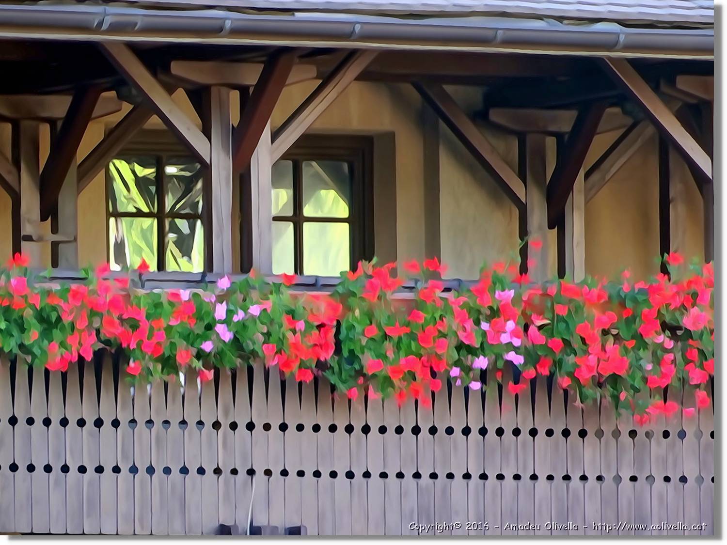 Flors_029.jpg